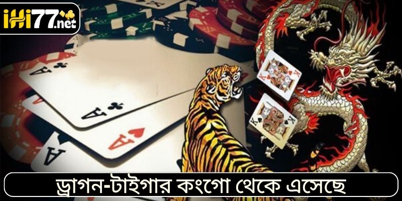ড্রাগন-টাইগার কংগো থেকে এসেছে