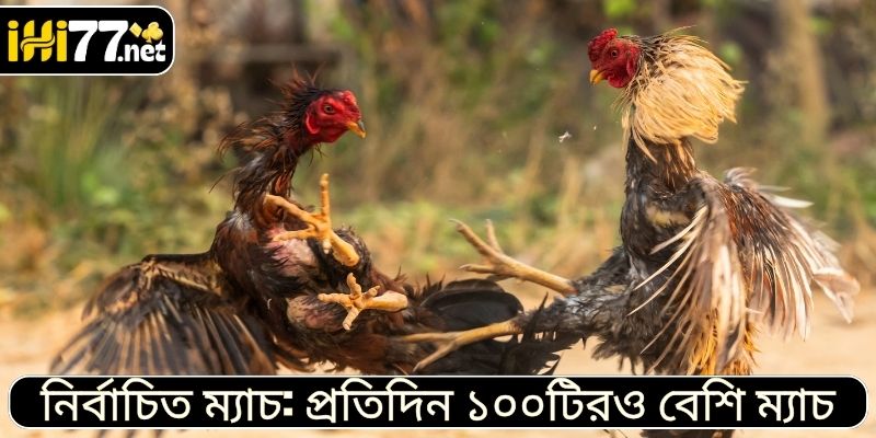 নির্বাচিত ম্যাচ: প্রতিদিন ১০০টিরও বেশি ম্যাচ