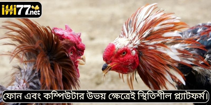 ফোন এবং কম্পিউটার উভয় ক্ষেত্রেই স্থিতিশীল প্ল্যাটফর্ম।