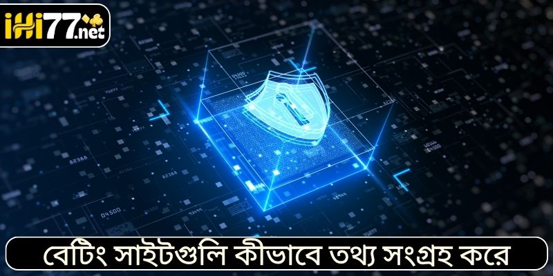বেটিং সাইটগুলি কীভাবে তথ্য সংগ্রহ করে